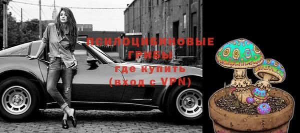 ешки Алзамай