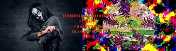 ешки Алзамай
