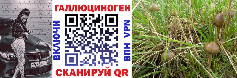 Галлюциногенные грибы Psilocybine cubensis  наркотики  ссылка на мегу зеркало  Грязовец 